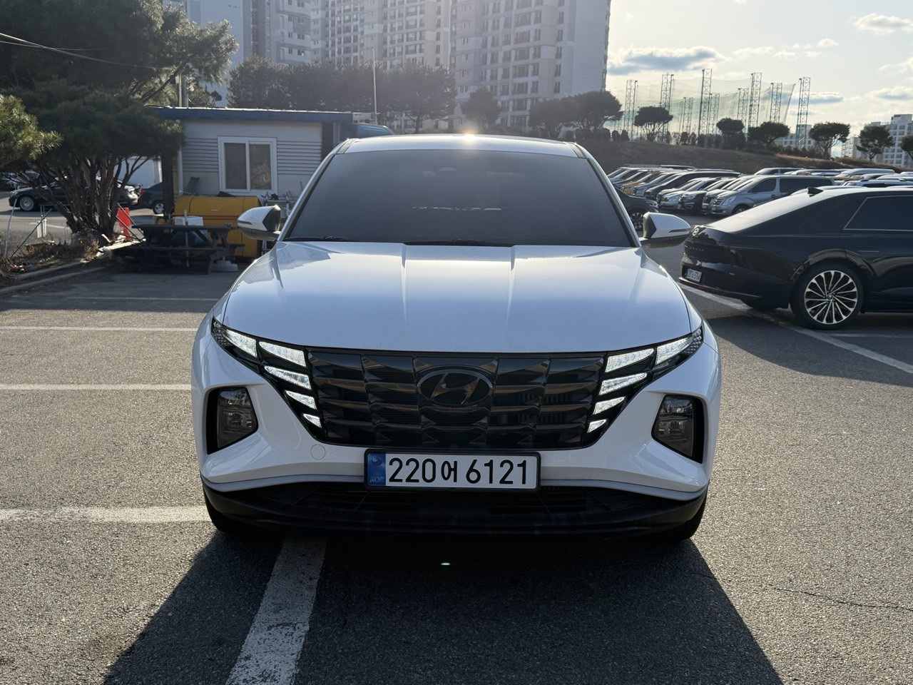 투싼 (NX4) 1.6 터보 2WD 모던